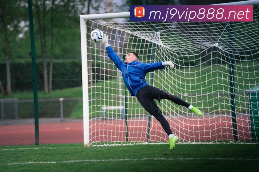 j9九游会国际平台生态图